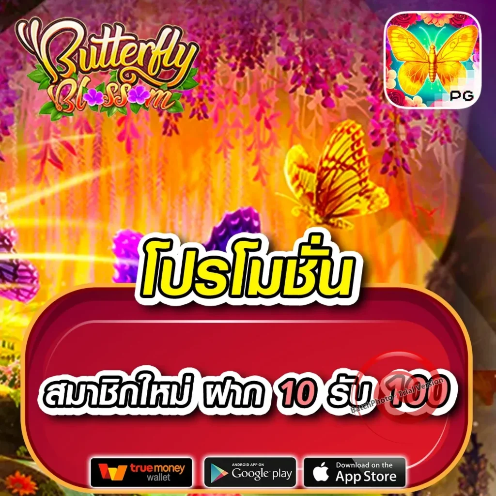 pg แคนดี้ รางวัลใหญ่