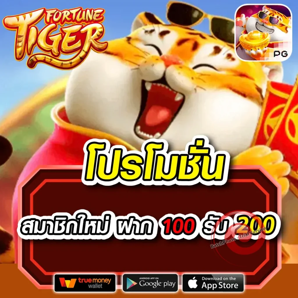 pg แคนดี้
